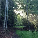 別荘 Einladendes, Freistehendes In