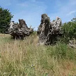 別荘 Einladendes, Freistehendes In *