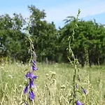 別荘 Einladendes, Freistehendes In