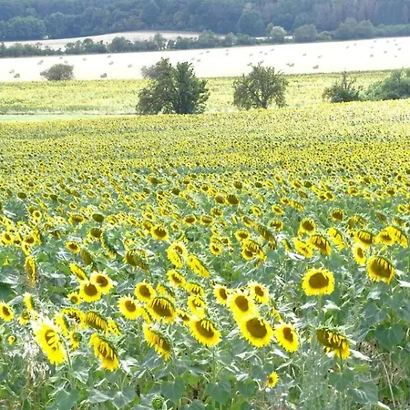 別荘 Einladendes, Freistehendes In *