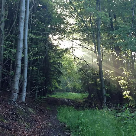 別荘 Einladendes, Freistehendes In