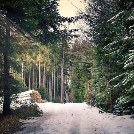 Einladendes, Freistehendes In Wienrode