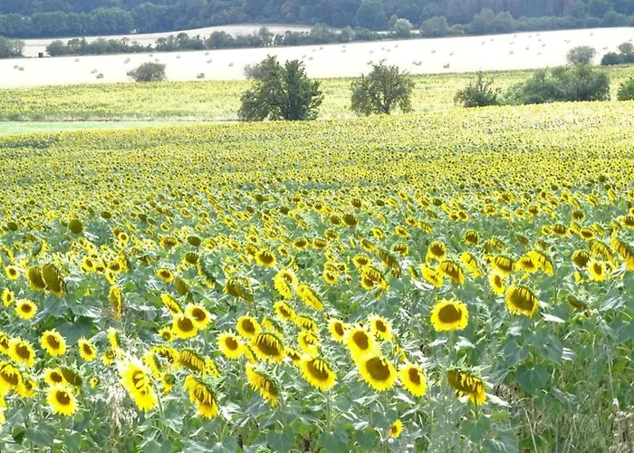 Casa vacanze Einladendes, Freistehendes In *