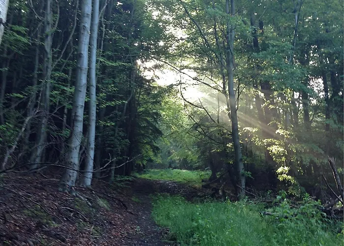 Semesterbostad Einladendes, Freistehendes In