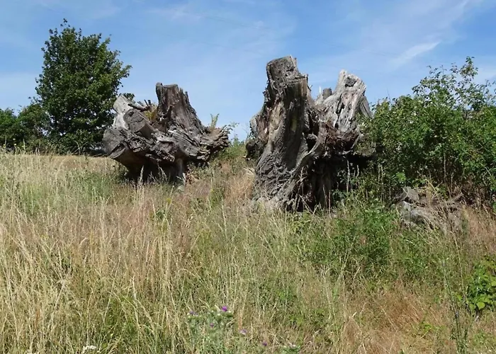 Casa vacanze Einladendes, Freistehendes In *
