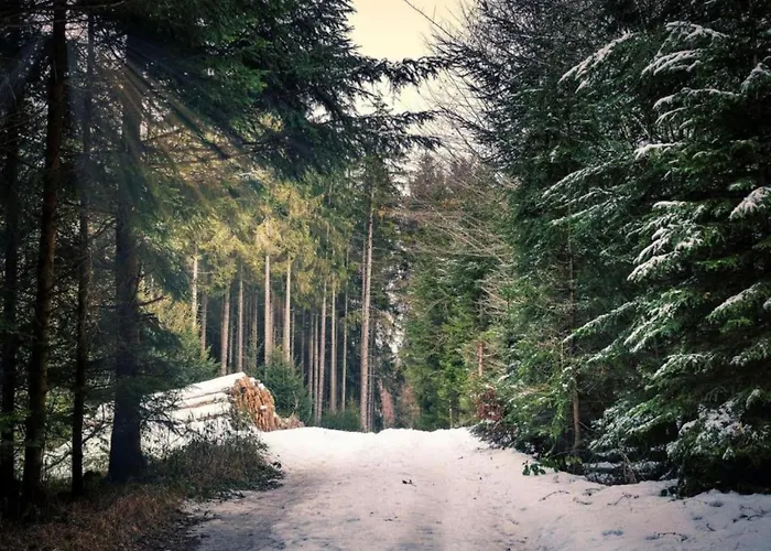Einladendes, Freistehendes In Wienrode